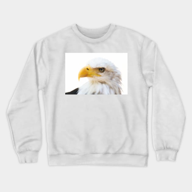 Bald Eagle Crewneck Sweatshirt by SHWILDLIFE